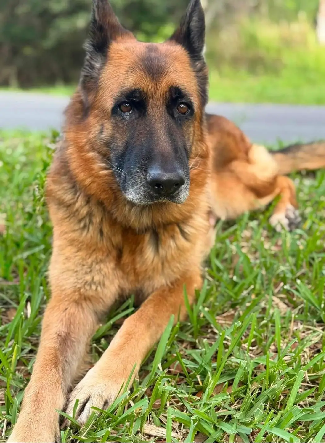 Stella F